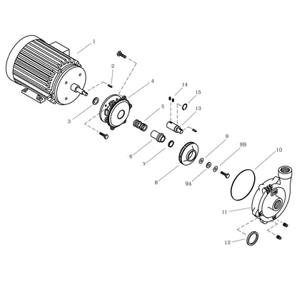 Despiece Bomba Centrífuga 60HP 300GPM 3F 3"x2" IHM