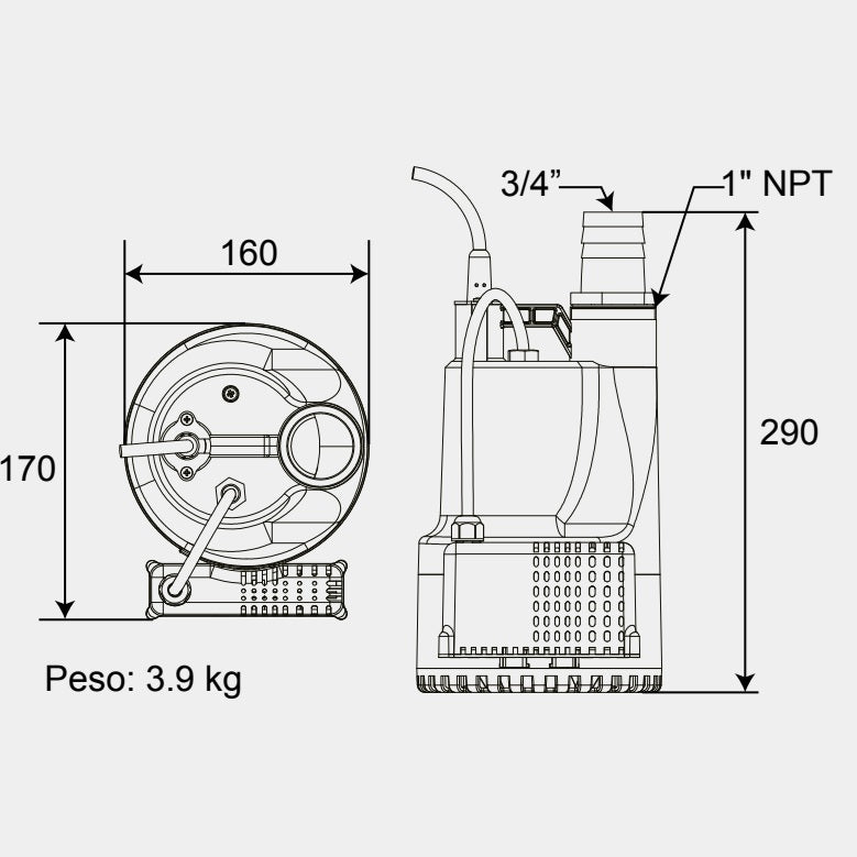 Medidas Bomba de Achique MAGNUS l 0,25HP l 1" l 1x127VAC