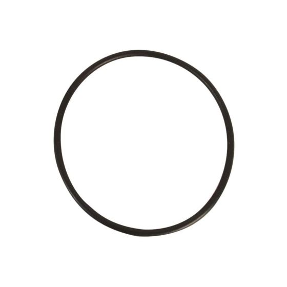 Empaque O-ring del Cuerpo de Bomba l Bomba SILVER