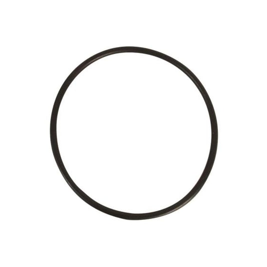 Empaque O-ring del Cuerpo de Bomba l Bomba SILVER